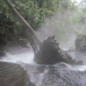 Costa Rican Hot Spring Volcanic Rocks Costa Rica Jungle Volcano Choose Variation